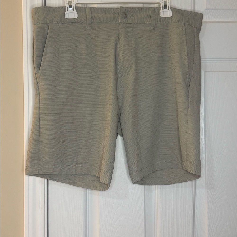 Burnside Men's Gray Flat Front Shorts